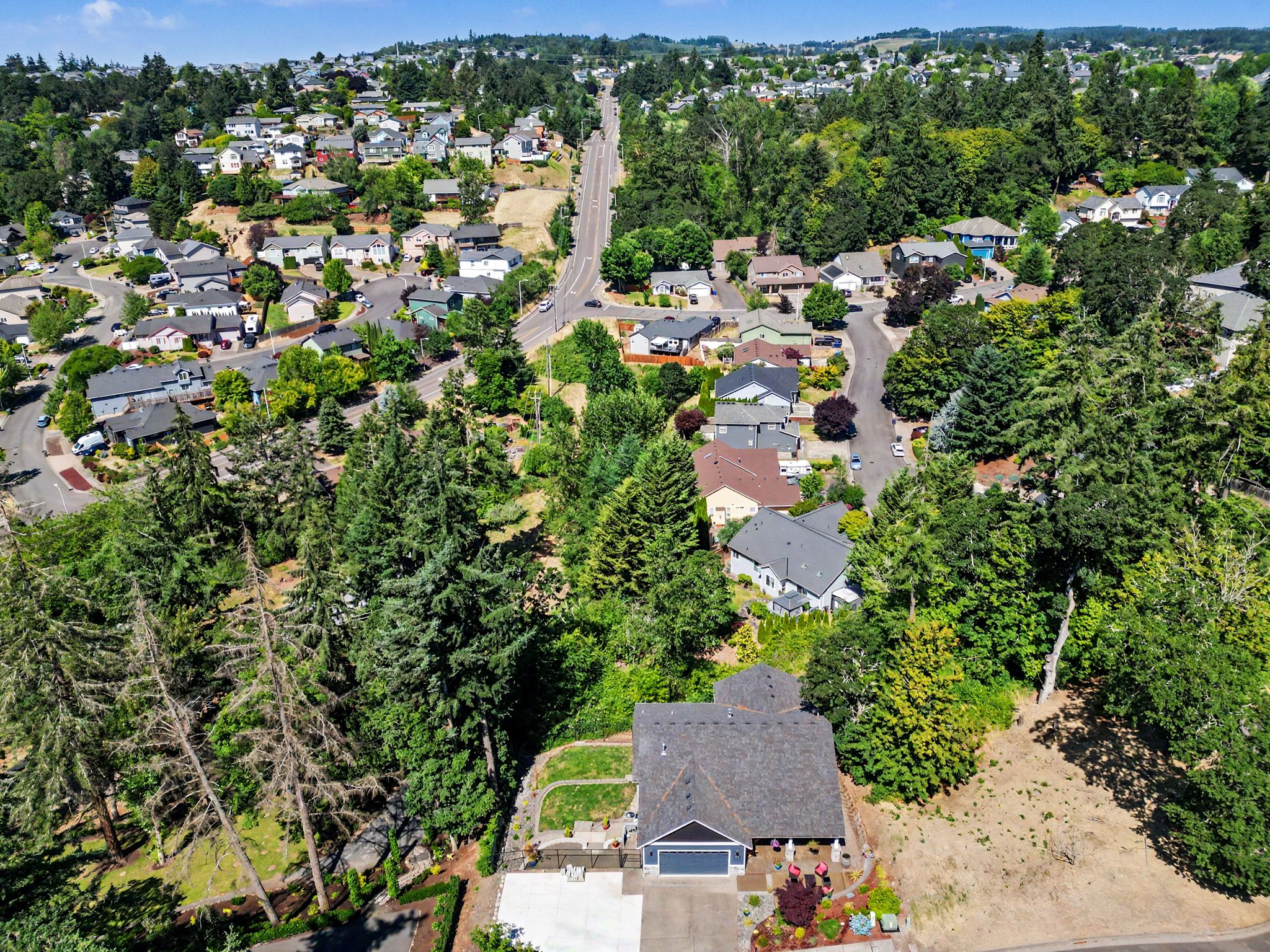 TIMBER VIEW 03
