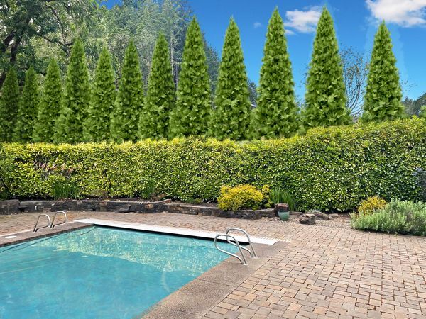 Rendering of additional trees