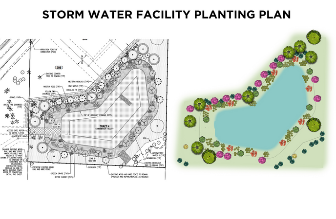 STORM WATER FACILITY PLANTING PLAN