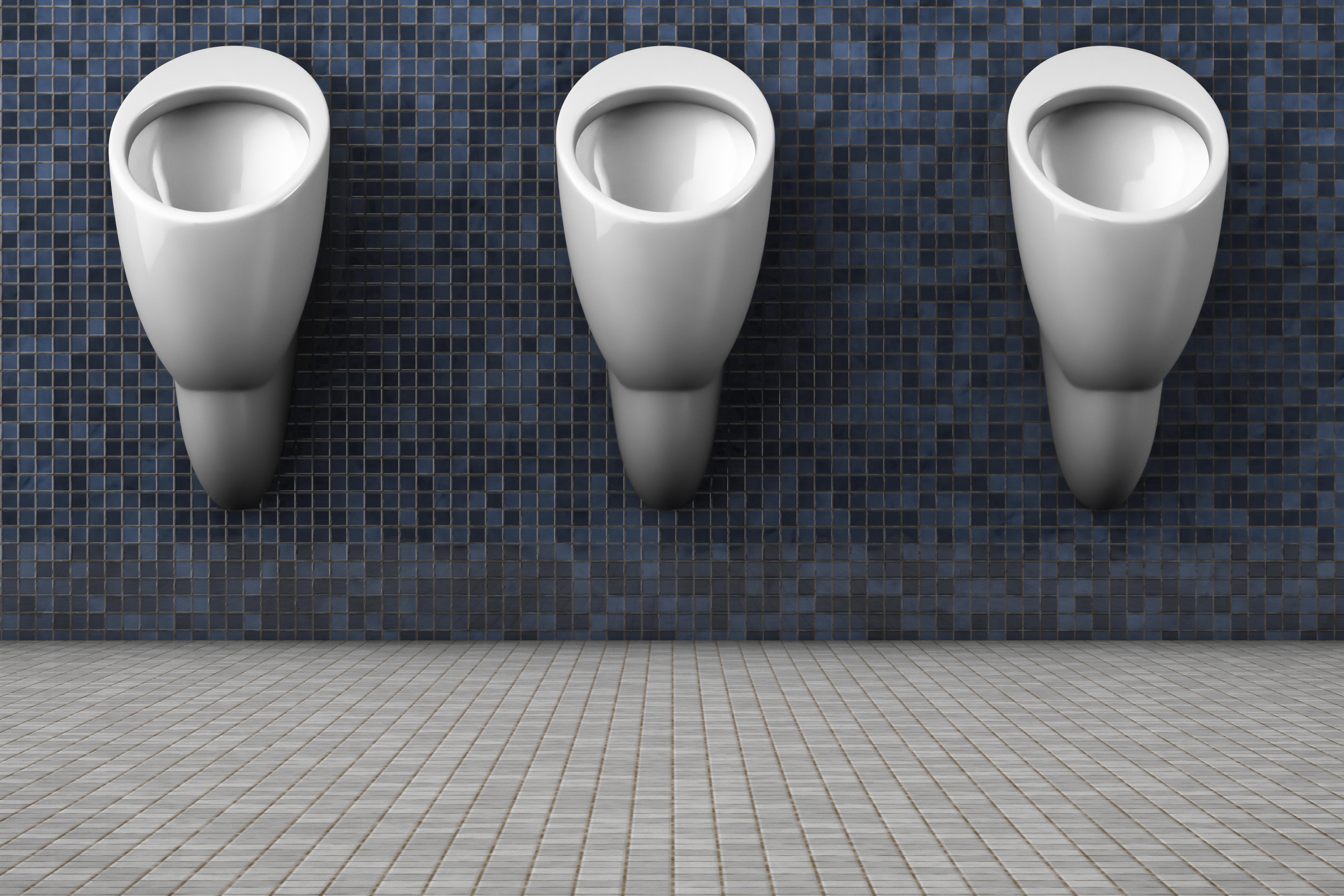 Urinal Partition