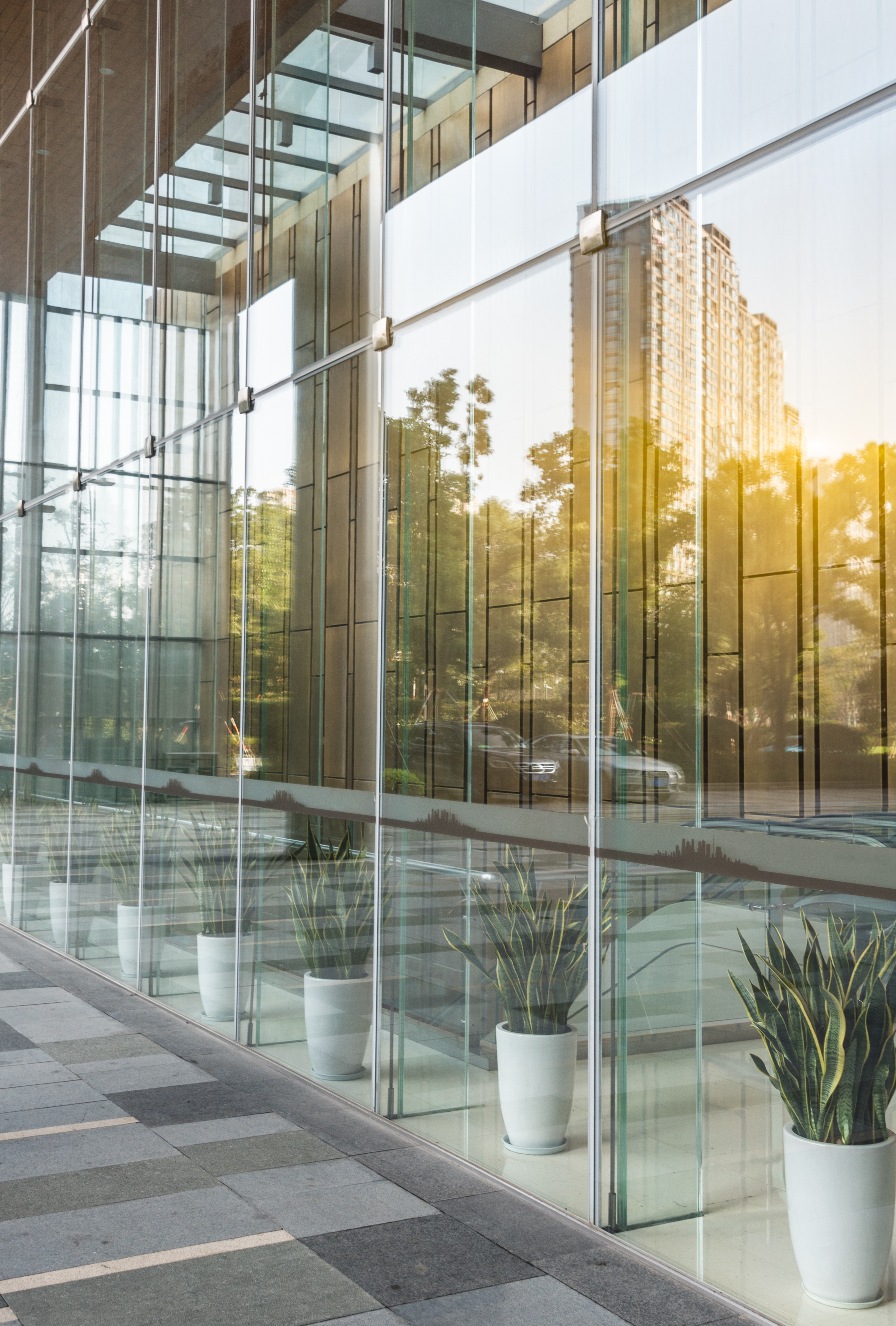 Glass for Aluminum Doors/ Window