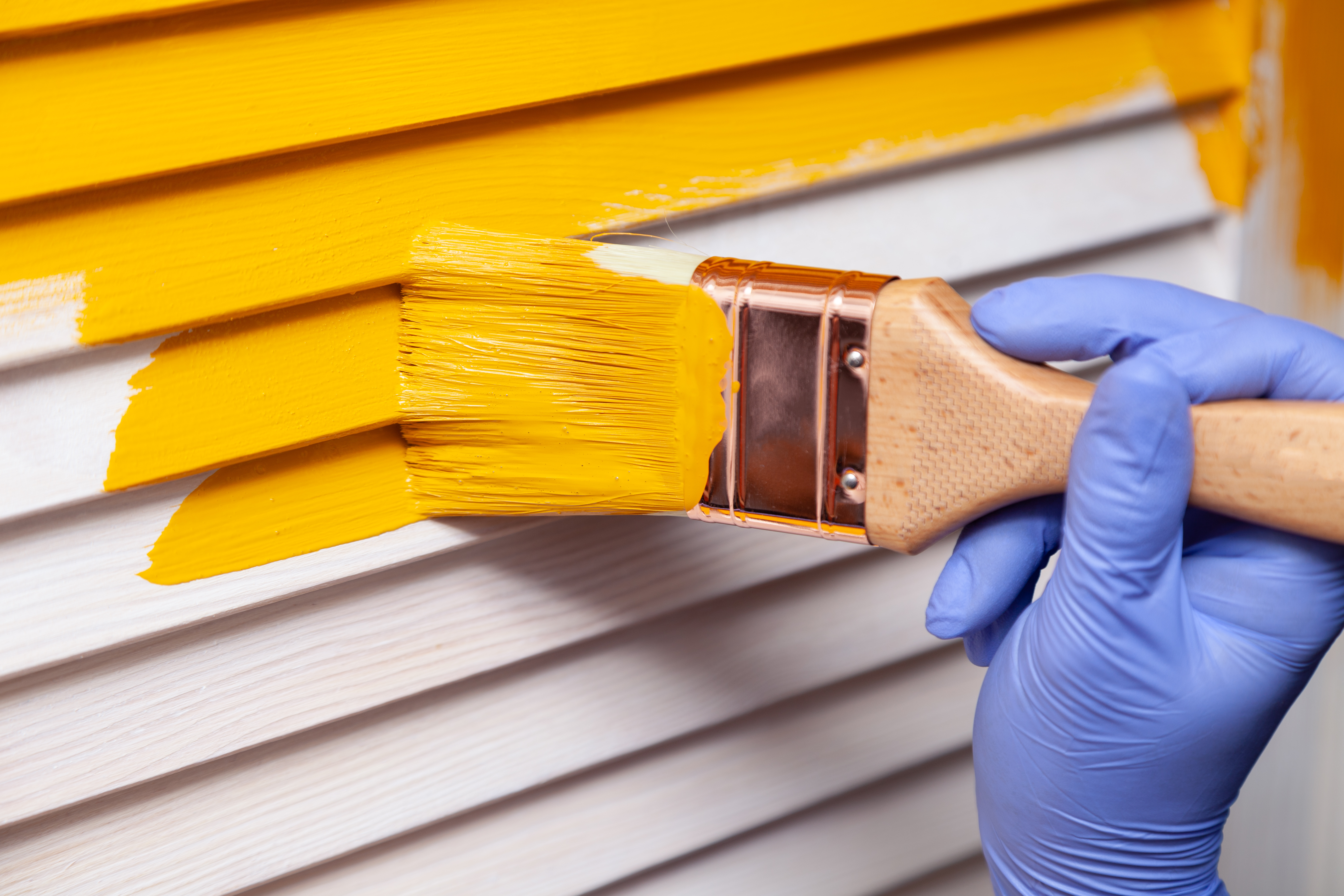 Exterior Paint (Waterproof/Textured)