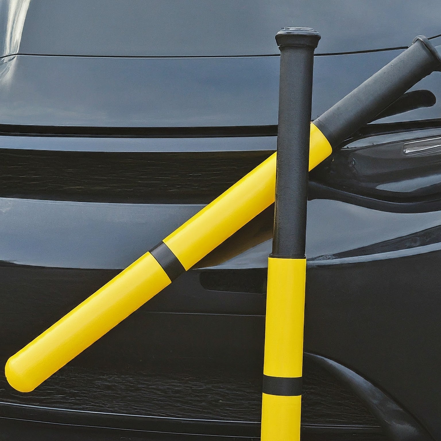 Police Stick