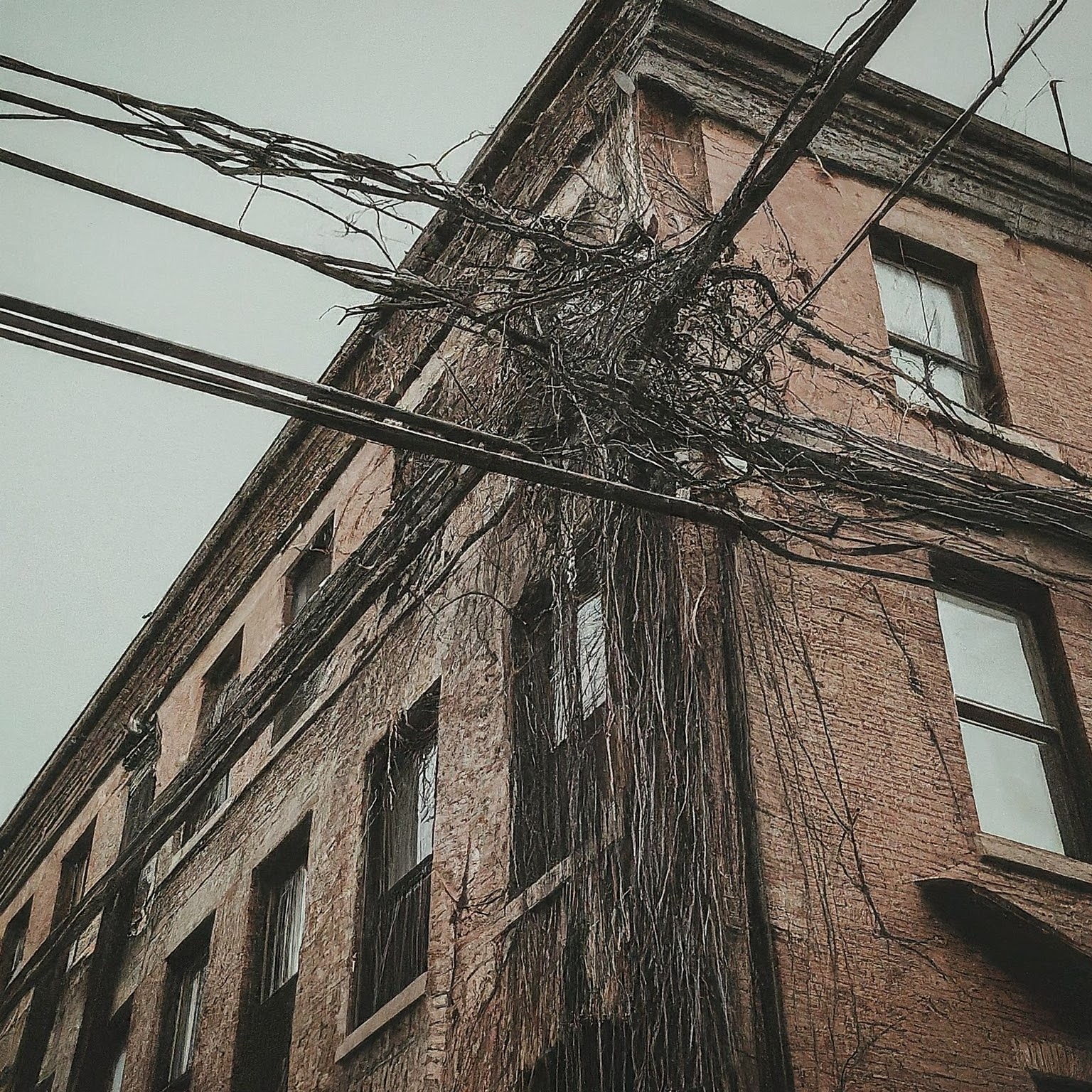 Building Wires