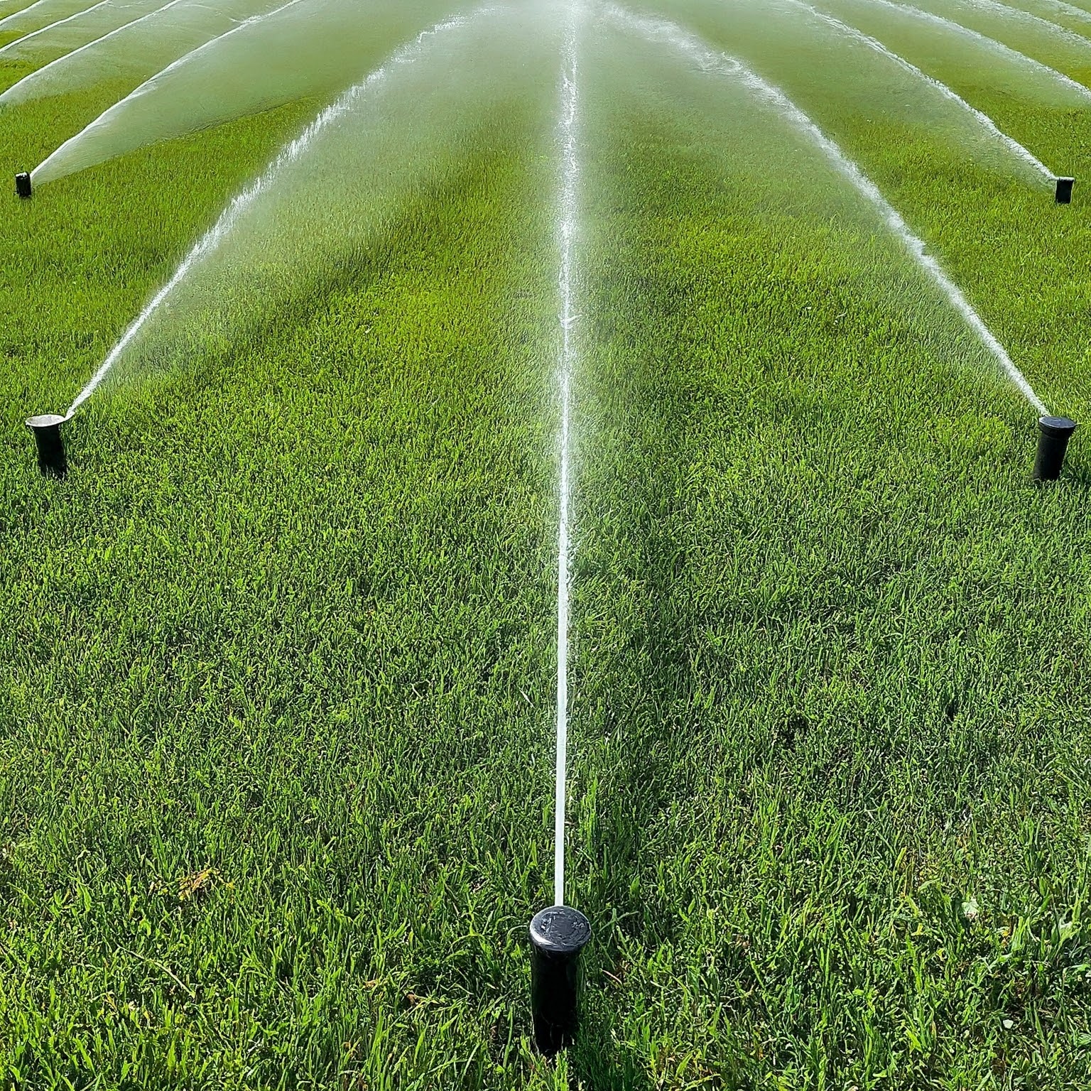 Pop Up Connecting Assembly/Sprinkler