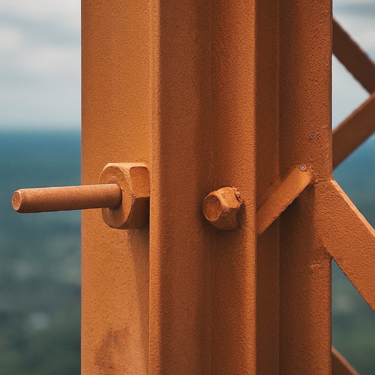 Fire Proof Tower Bolts