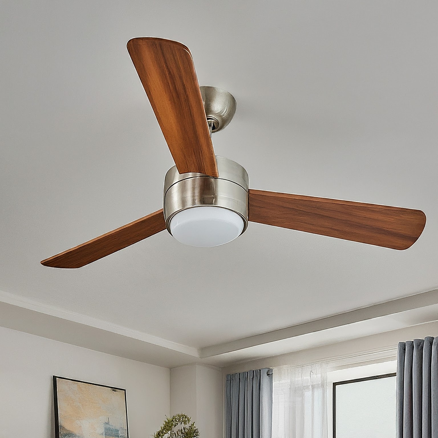 Celling Fan