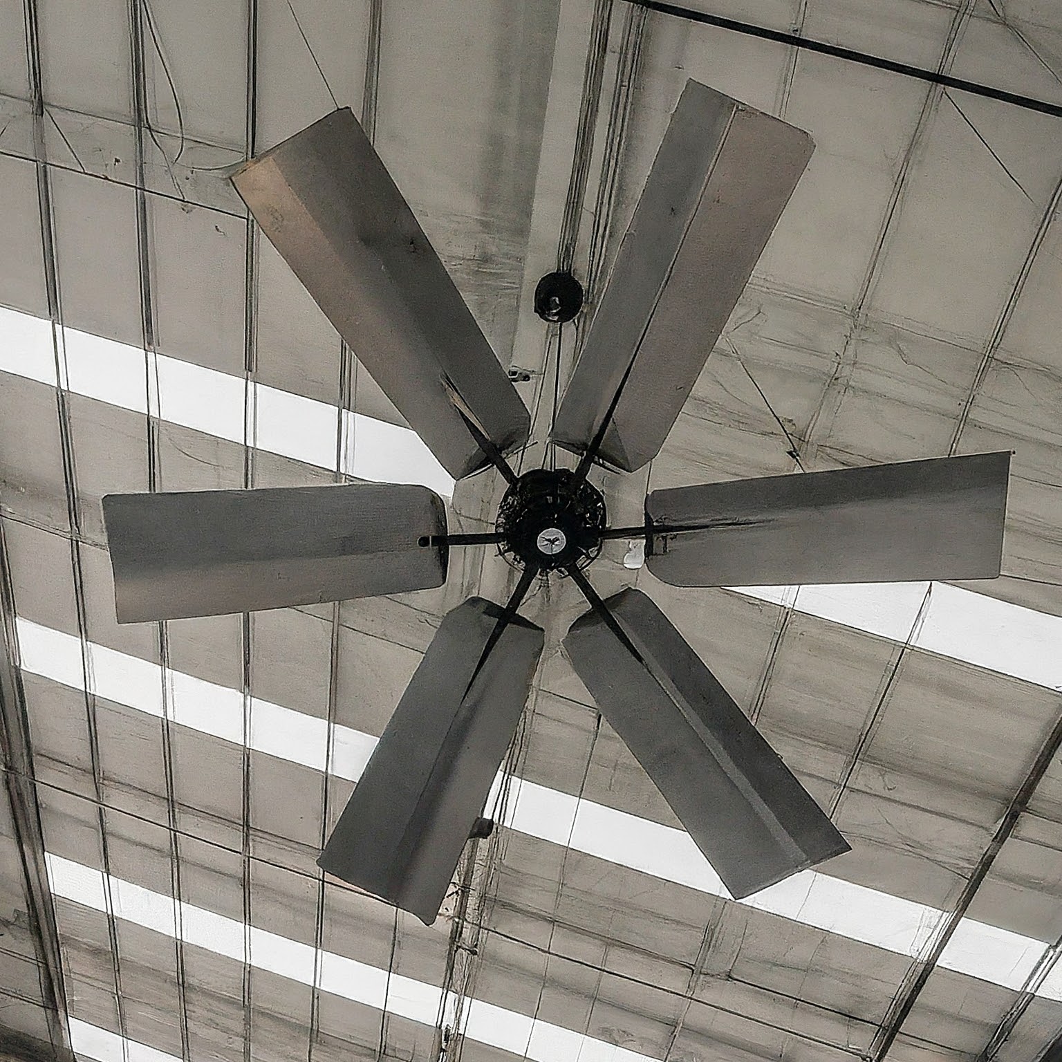 Celling Fan