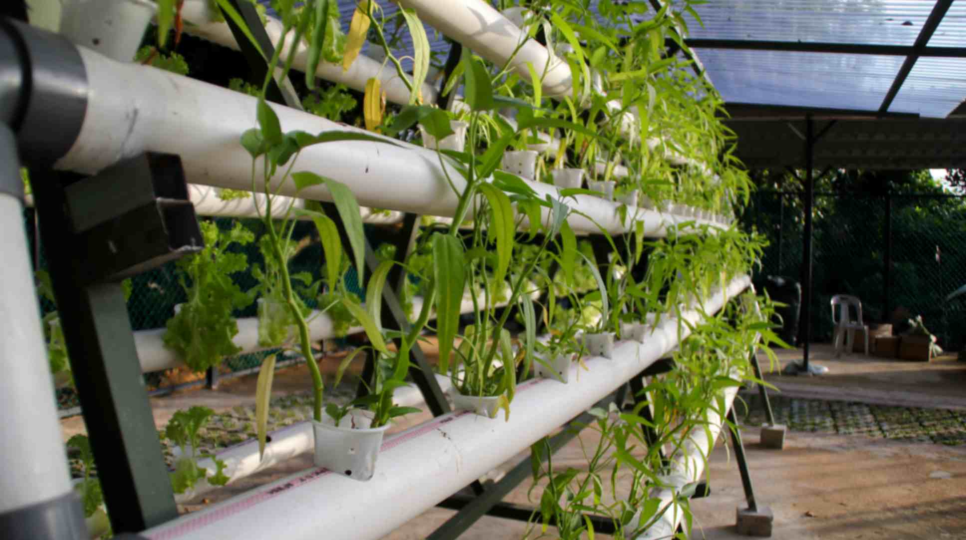 Agriculture Pipes