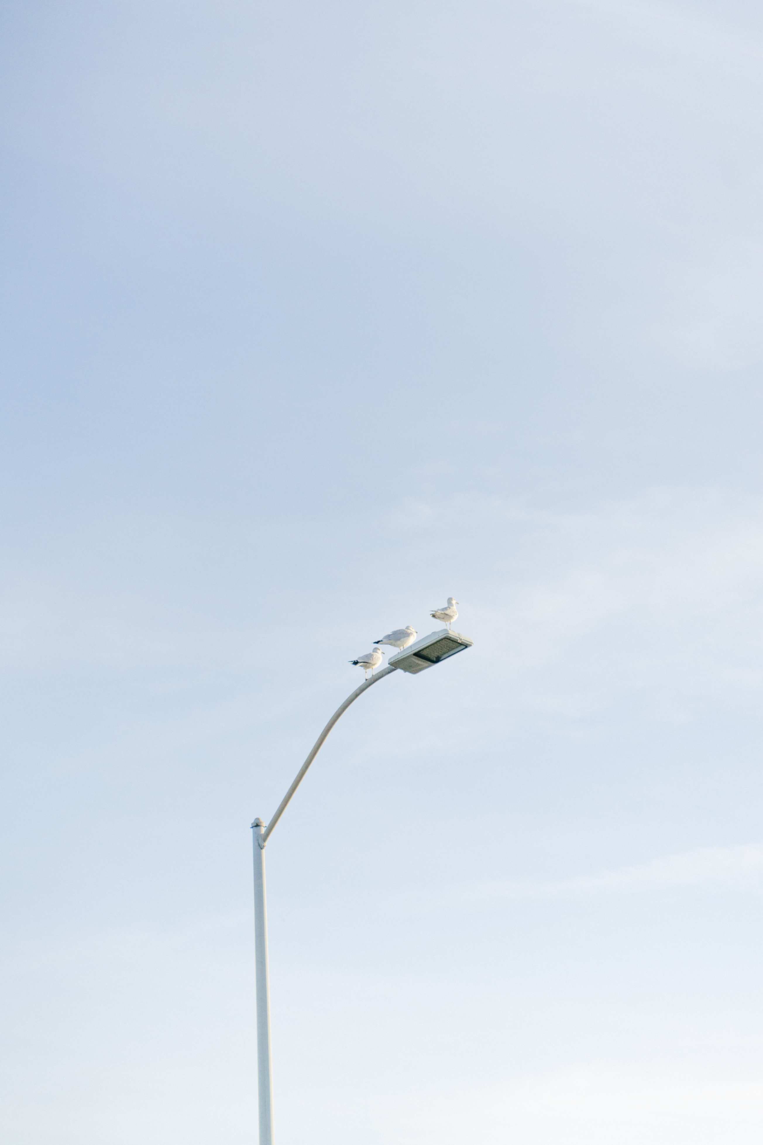 Street Light Pole