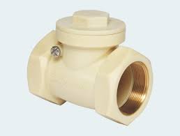 Check Valves
