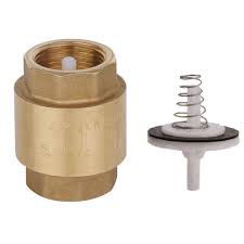 Check Valves
