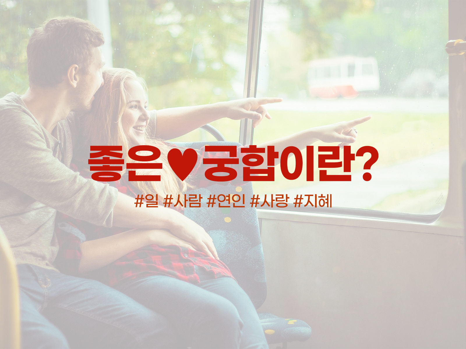 상담 프로필