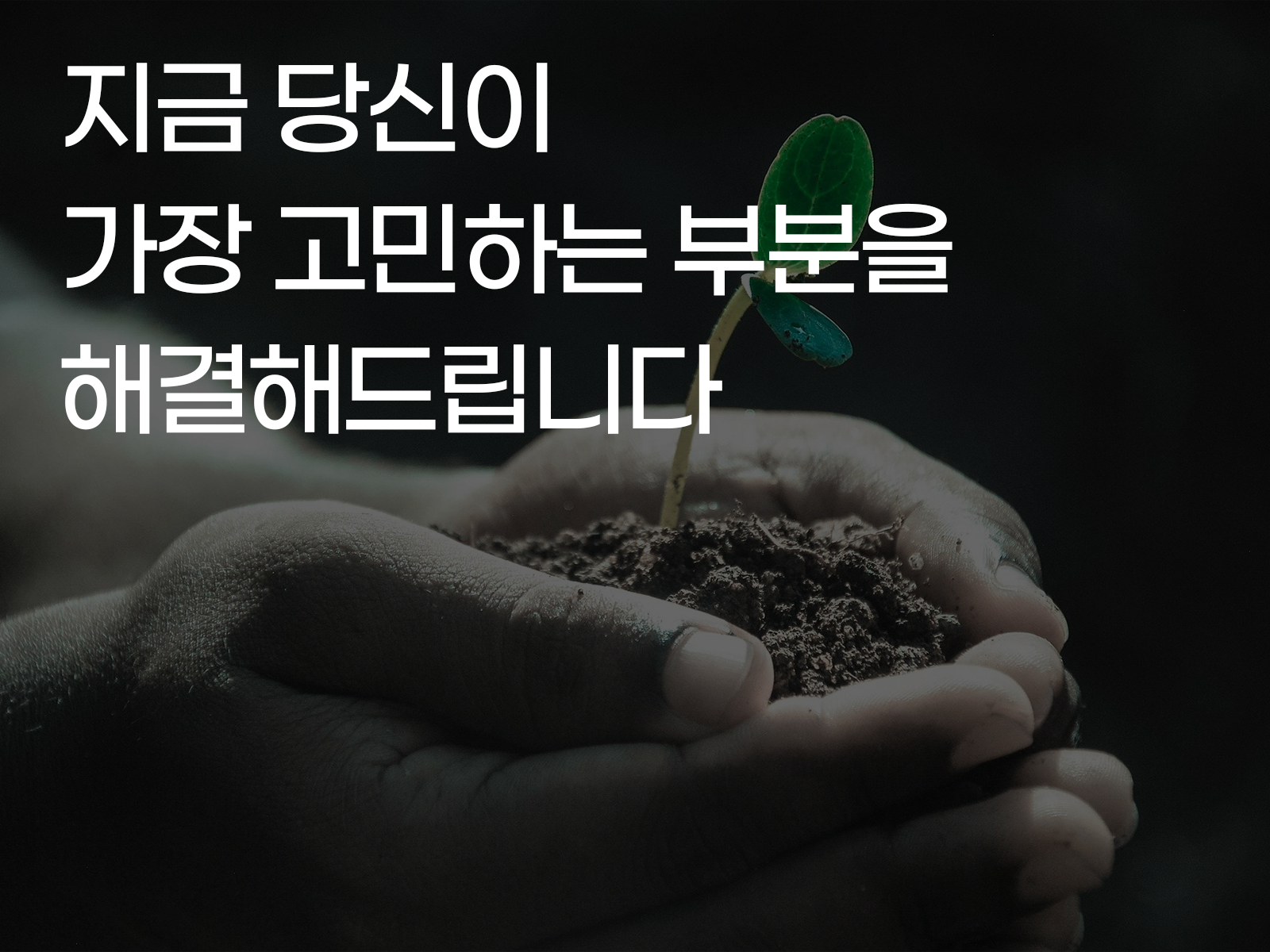 상담 프로필