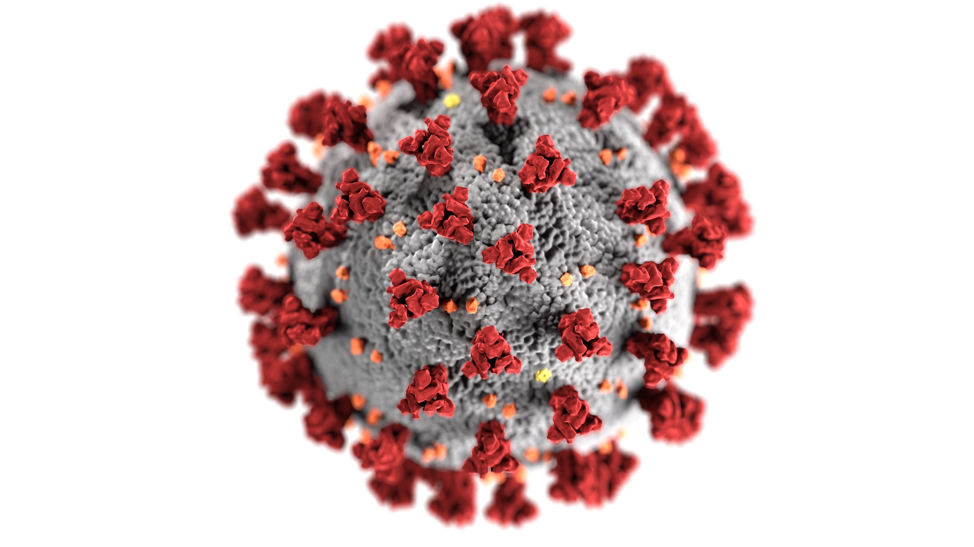 COVID-19 Infection, Prevention, Identification & Control