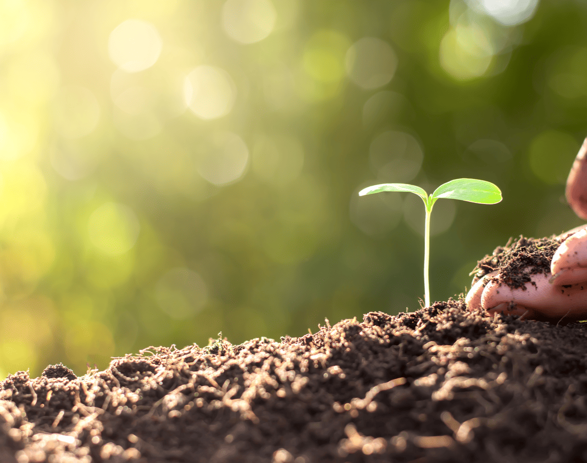Growing better. Почва. Растения в почве. Здоровье почвы. Плодородие почвы.