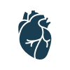 Cardiovascular/ Circulatory System category image