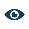 Eye or Vision category image