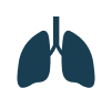 Lung or Breathing category image