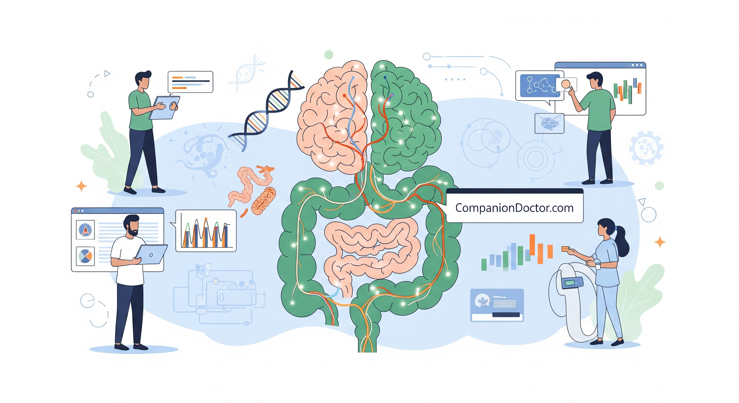 Featured image for The Gut-Brain Connection: How Diet Affects Mood