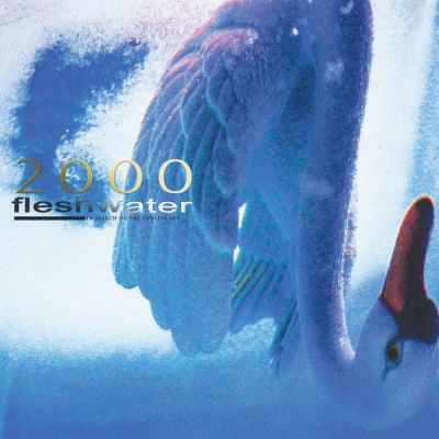 2000: In Search of the Endless Sky - Fleshwater