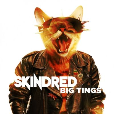 Big Tings - Skindred