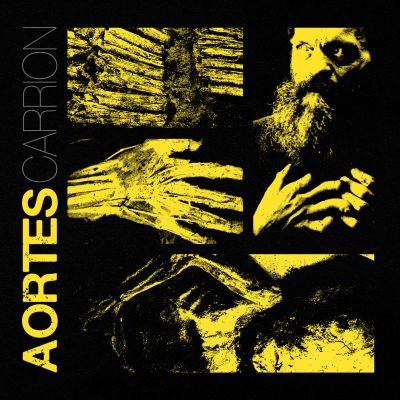 Carrion - Aortes
