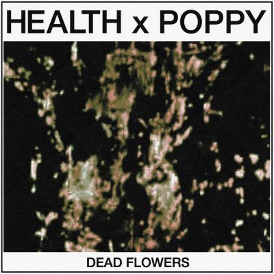 Dead Flowers - Poppy