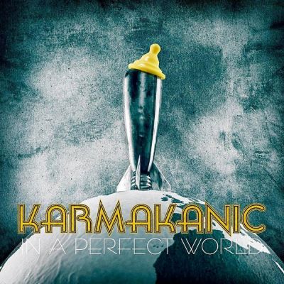 In a Perfect World - Karmakanic