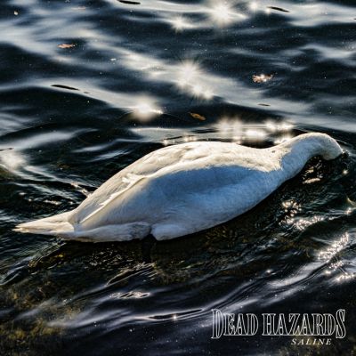 Saline - Dead Hazards