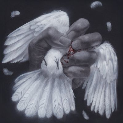 The Poacher Diaries - Converge