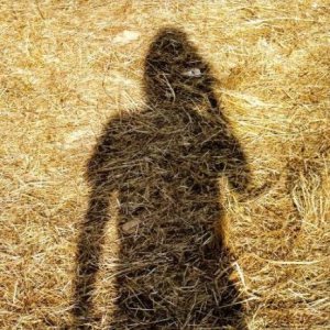 Unreleased Electronic Music Vol 1 - Steven Wilson