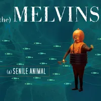 (A) Senile Animal - Melvins