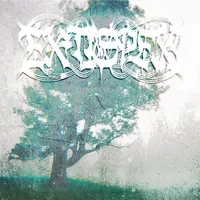 A Field of Black Roses and Empty Shadows - Extispex