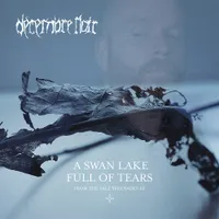 A Swan Lake Full of Tears - Décembre Noir