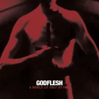 A World Lit Only by Fire - Godflesh