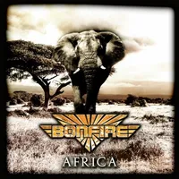 Africa - Bonfire