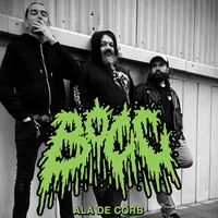 Ala de corb - Bocc