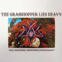 All Sadness, Grinning into Flow - The Grasshopper Lies Heavy