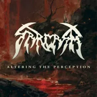 Altering the Perception - Sarcasm