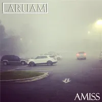 Amiss - Laruam
