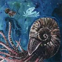 Ammonite - Celophys