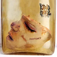 Anatomy - Putrid Offal