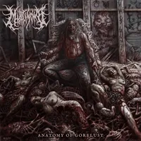 Anatomy of Gorelust - Multiwomb