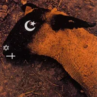 Animositisomina - Ministry