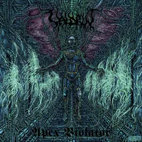 Apex Violator - Valdrin
