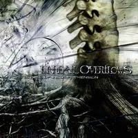 Architecture of Incomprehension - Unreal Overflows
