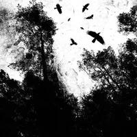 Autumn's Dawn - Autumn's Dawn