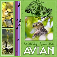 Avian - Escaping Aghartha