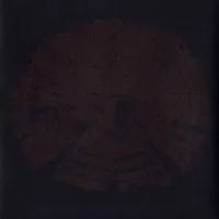 Avifauna - Fauna